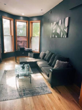Cozy Condo (Bronzeville Historical)